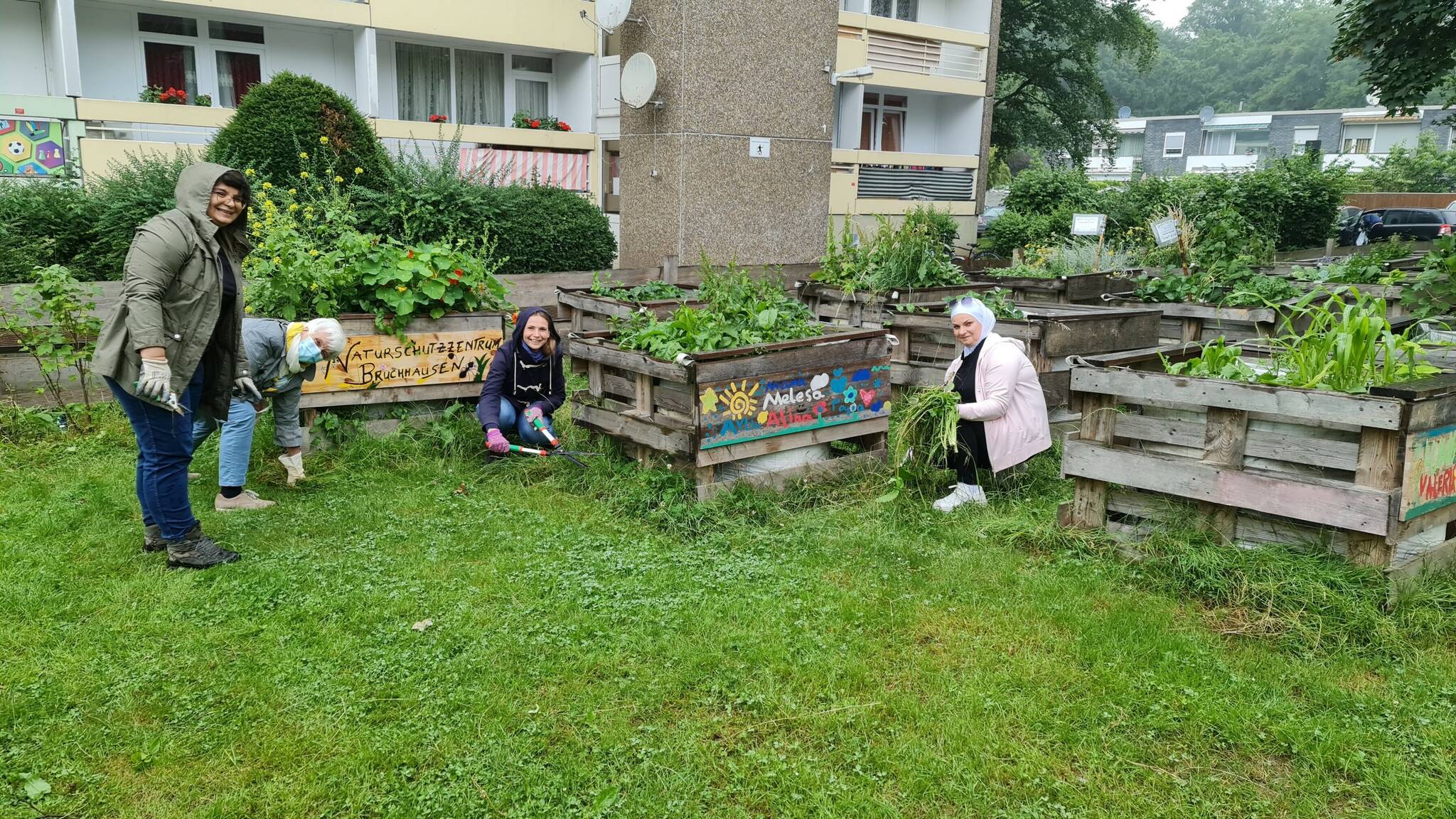  (v.li.) Sevil Yildirim, Renate Späth, Saskia Goebel und Rana Scham packen im Heimatgarten fleißig mit an. 