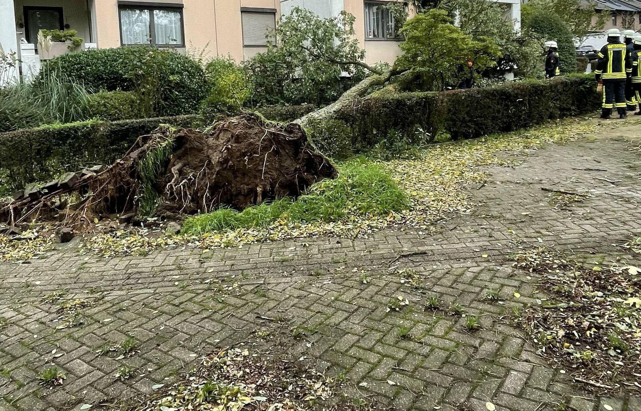 Bäume umgestürzt, Straßen gesperrt: Sturmtief beschert der Feuerwehr Erkrath viel Arbeit
