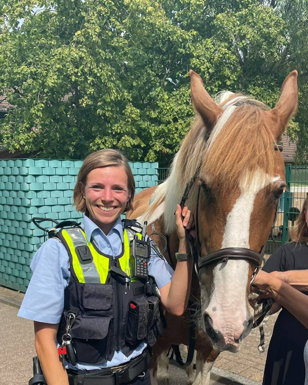  Mit der Polizei wartete das Pferd auf seine Reiterin. 