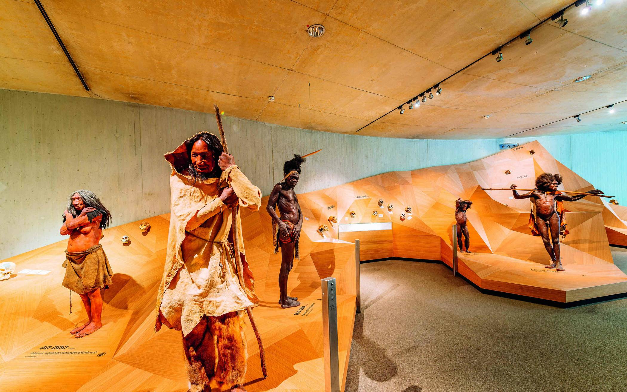 Neanderthal Museum kommt mit „Bei Anruf Kultur“ kostenfrei nach Hause