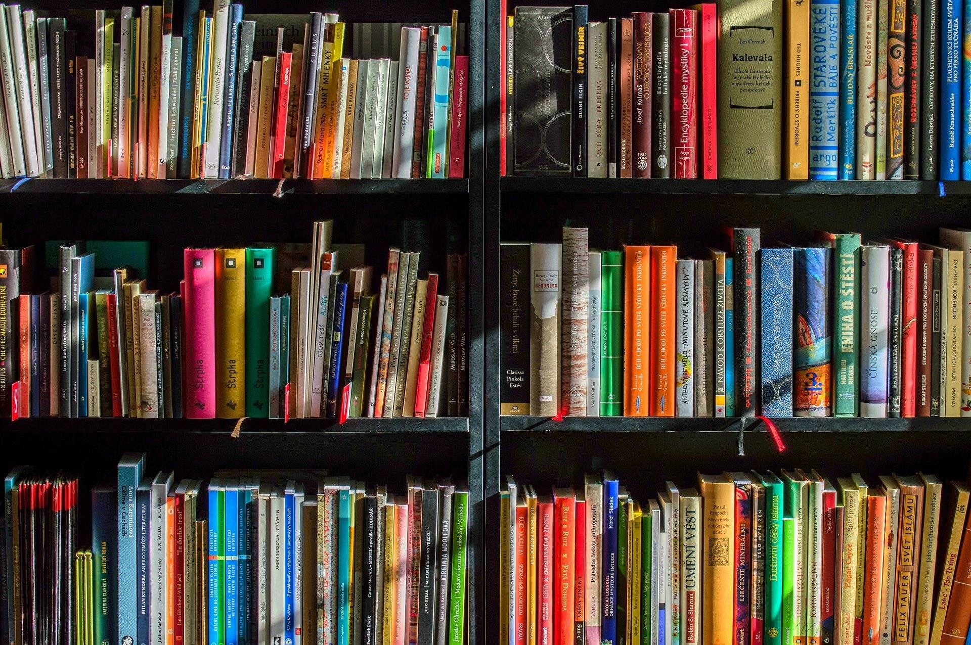Stadtbücherei: Vorleseangebot in den eigenen Vier-Wänden