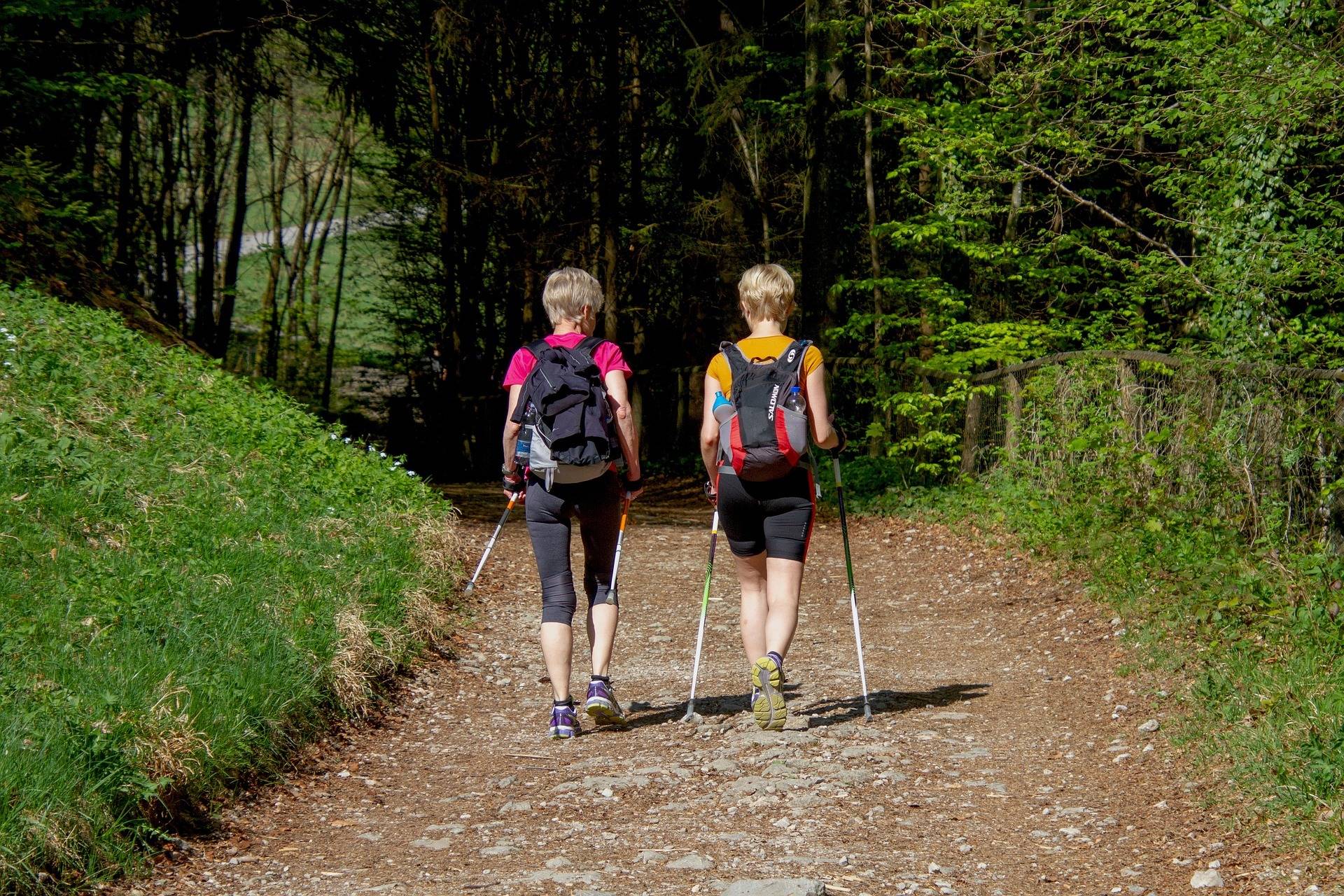 Präventionskurs-Nordic Walking für Einsteiger -und Wiedereinsteigerin