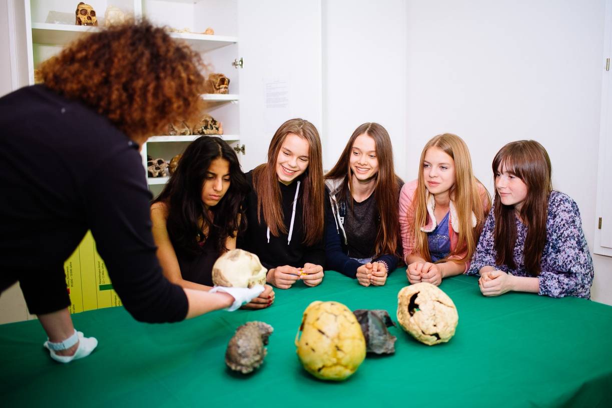 Schüler untersuchen fossile Schädel