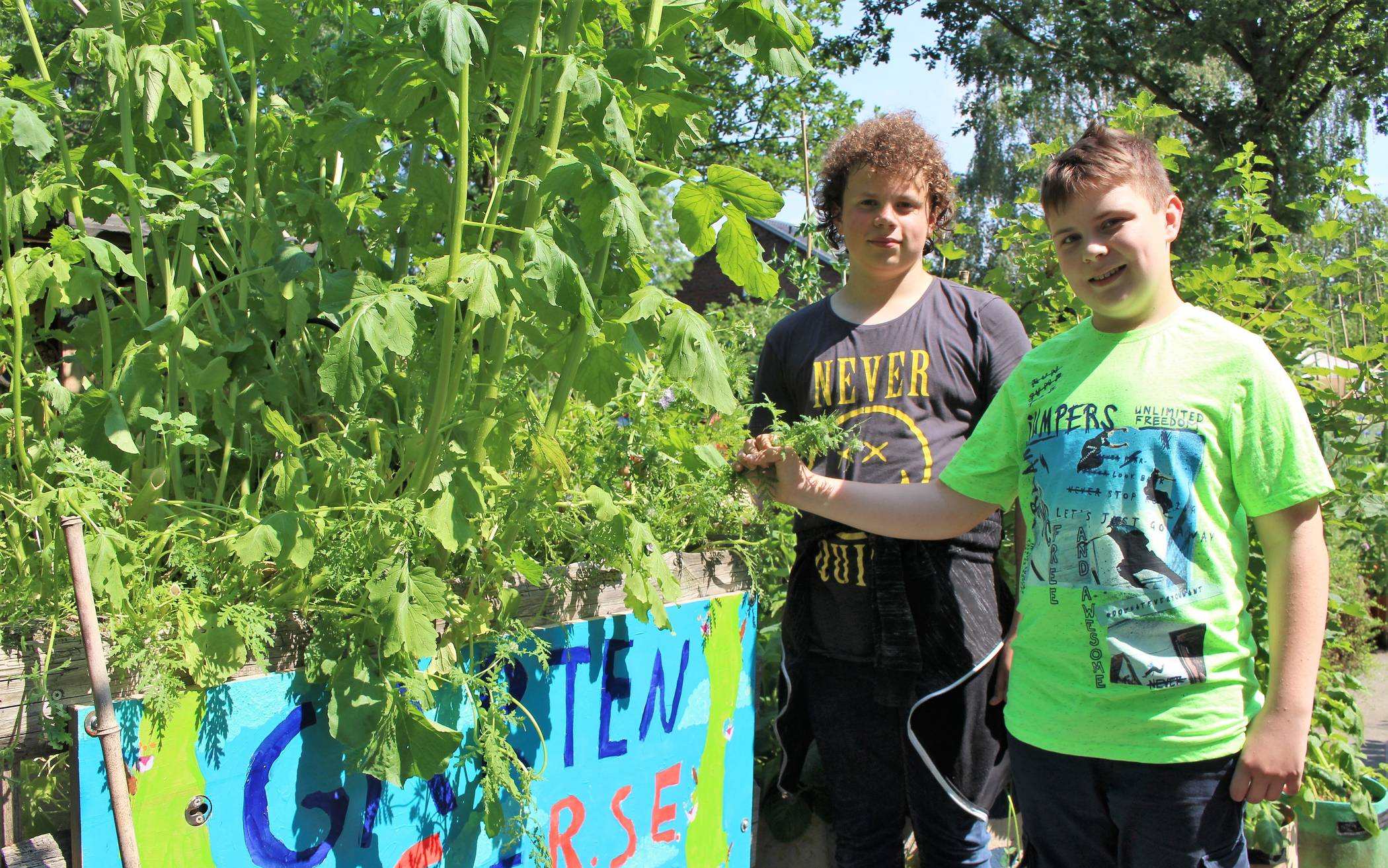  Marc und Vildan von der Schulgarten AG der Realschule Erkrath präsentieren stolz ihre Pflanzerfolge am Tag des Schulgartens im Naturschutzzentrum Bruchhausen. 