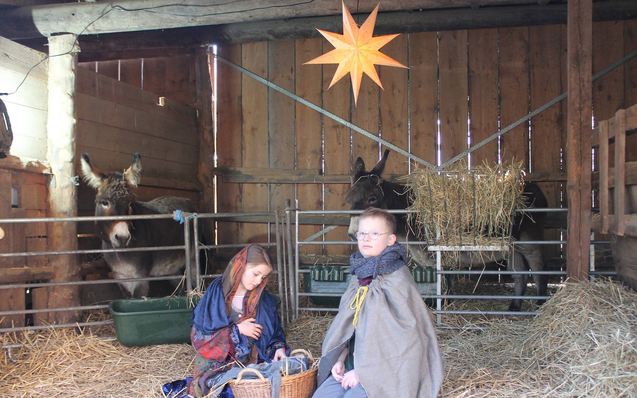  Maria und Josef zusammen mit dem Jesuskind im Stall von Betlehem. Im Hintergrund zu sehen, die beiden Esel Finchen und Giacomo. 