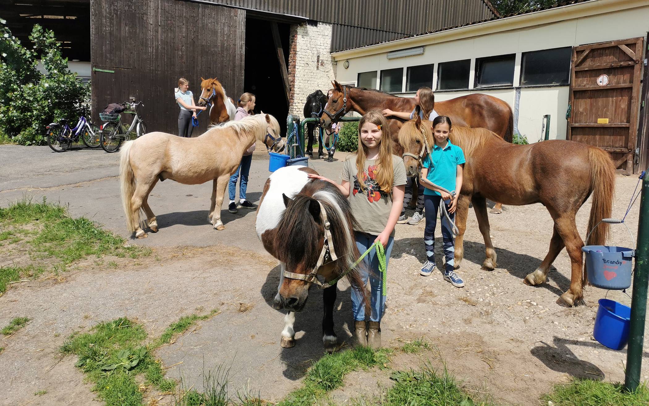 Aktionen und Chillen auf dem Ponyhof