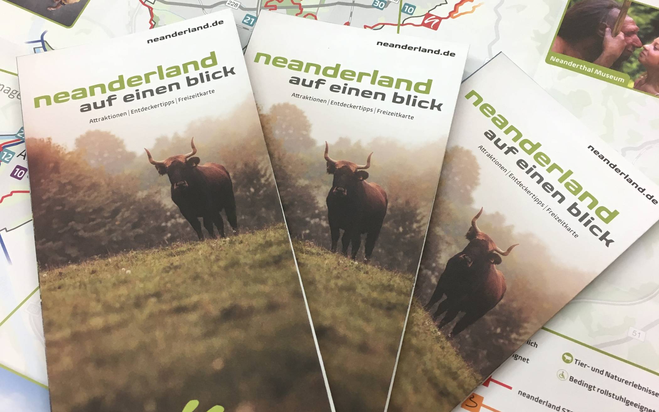 Druckfrischer Flyer und „neanderland Quickies“ für Entdecker: Neuer Flyer für neue Gäste: „neanderland AUF EINEN BLICK“
