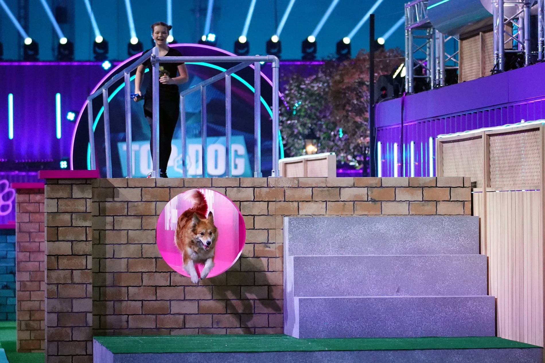 Erkratherin macht bei Top Dog Germany Der beste Hund Deutschlands mit