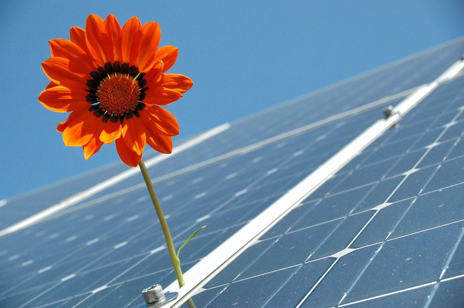  Save the date: Solarinitiative lädt zum ersten öffentlichen Treffen ein. 
  