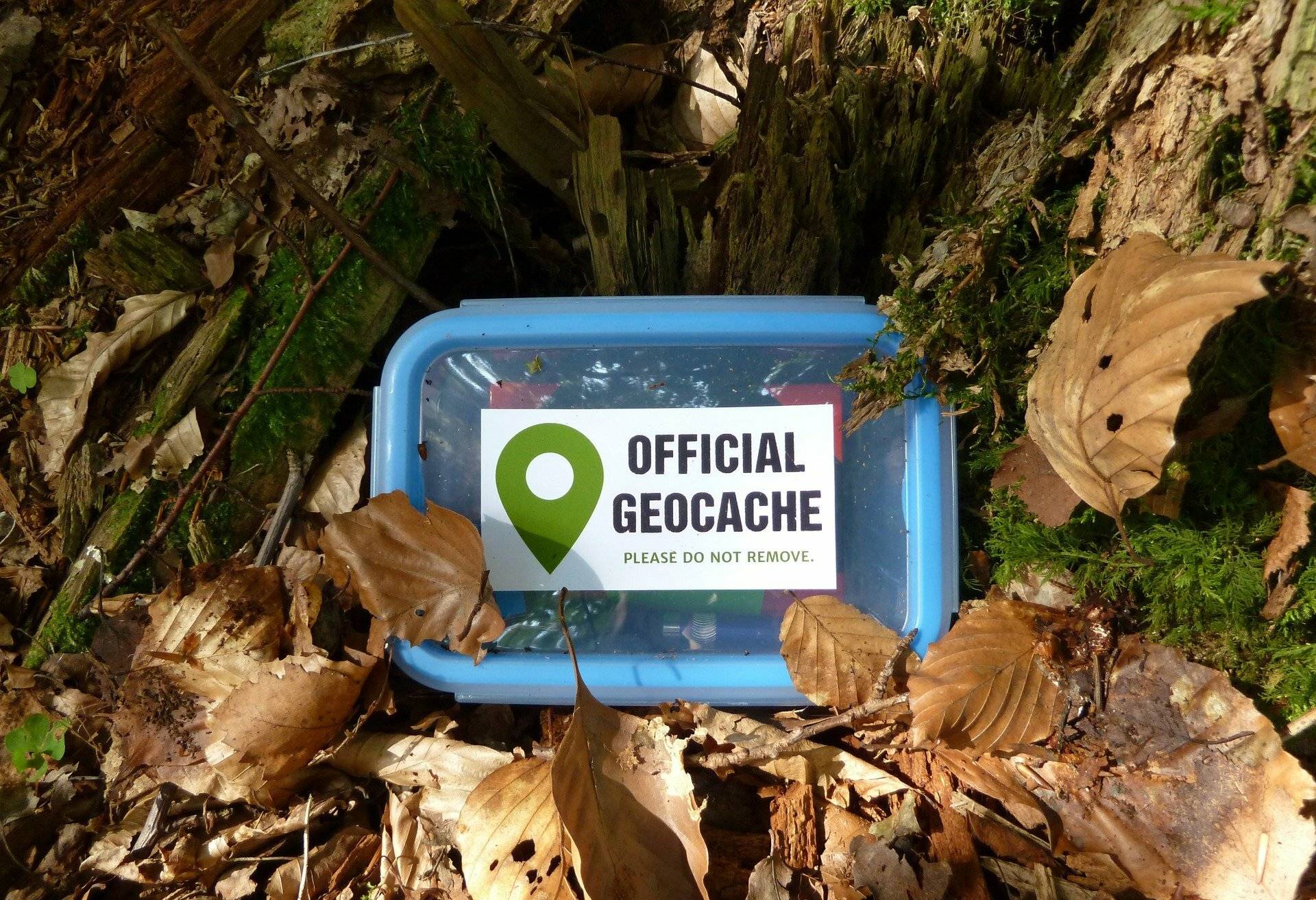 Literarische Schnitzeljagd im Bürgerhaus: Geocaching in der Stadtbücherei