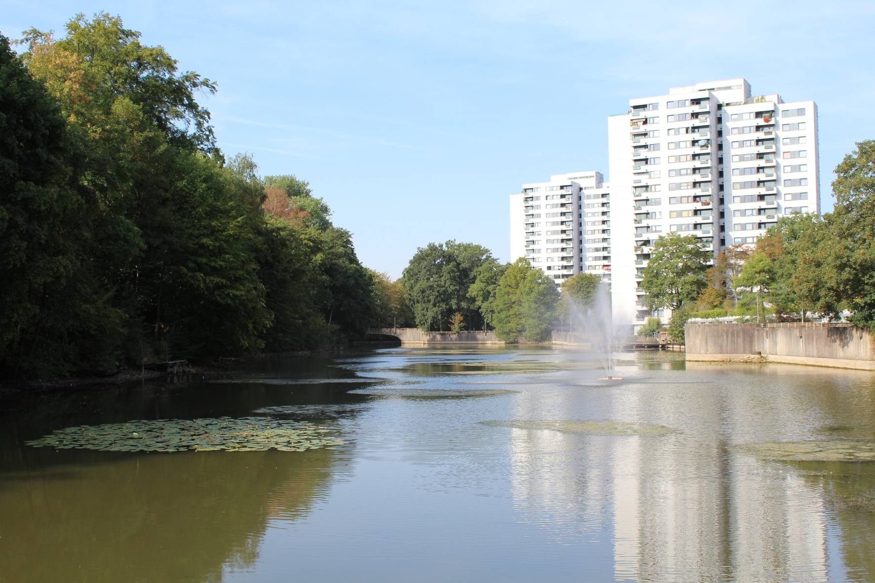 Stadtweiher: Erläuterungsbericht zur Wasserbaulichen Untersuchung online einsehbar
