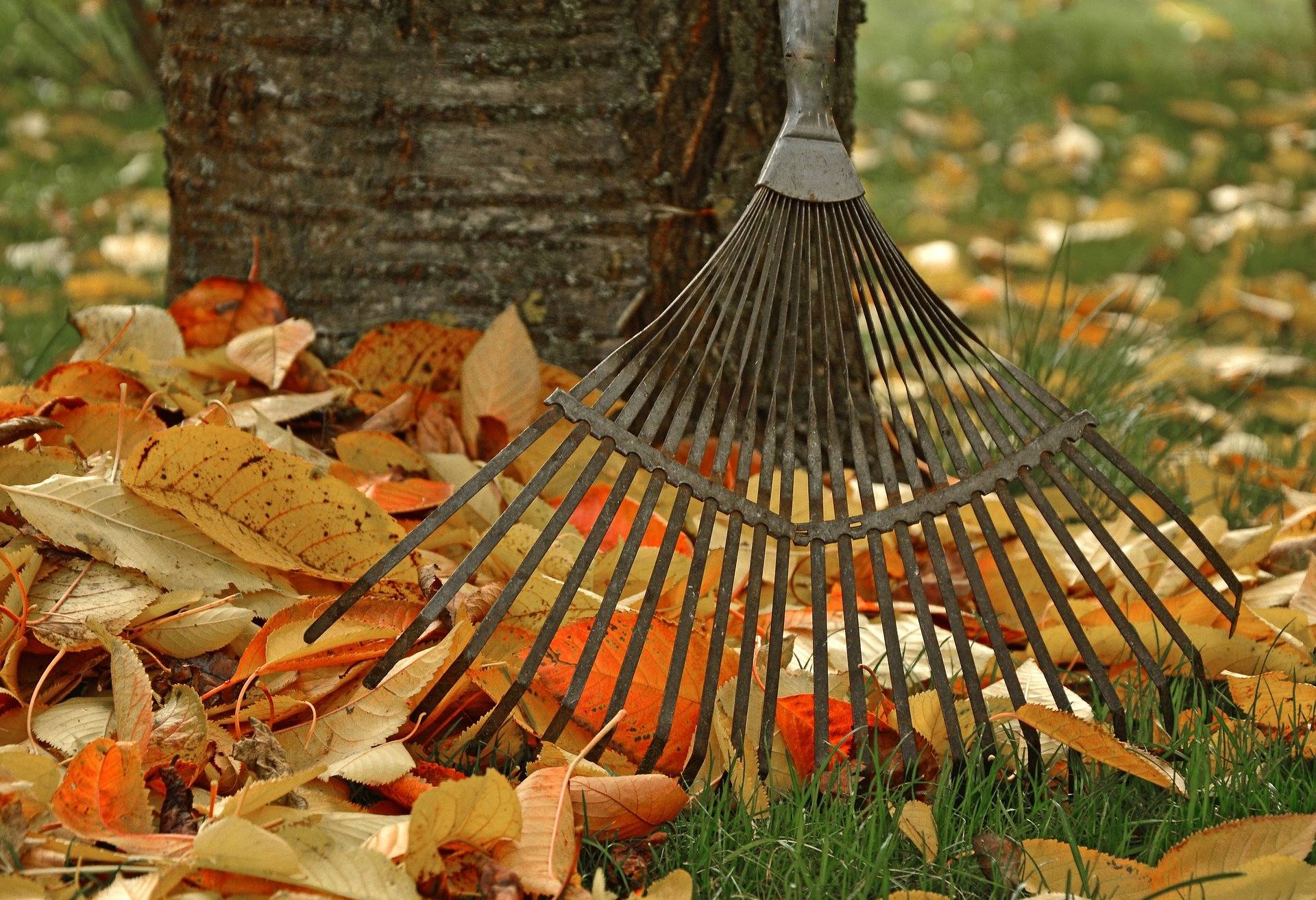 Laubbeseitigung und Straßenreinigung im Herbst