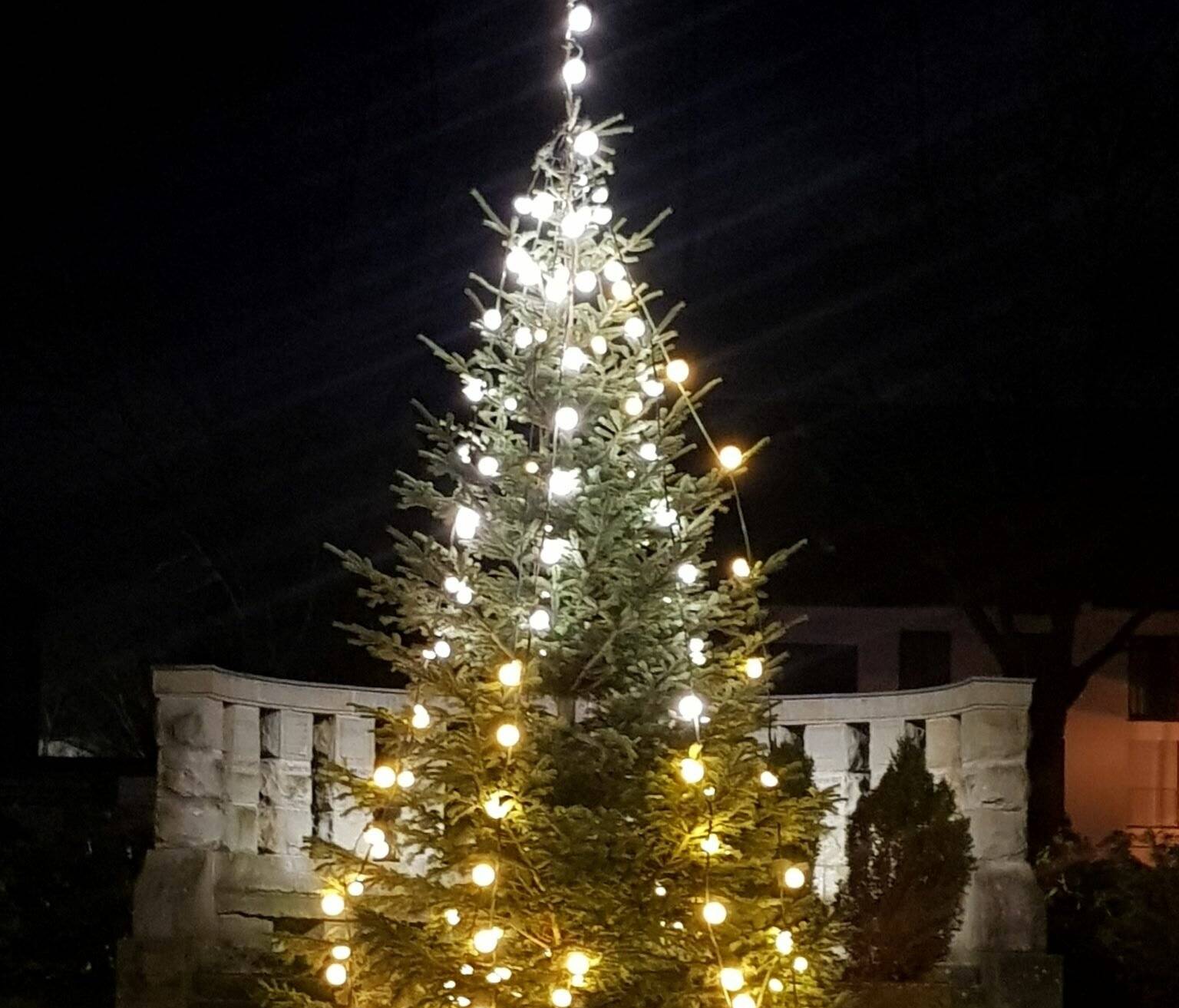  Da strahlt er: Der Weihnachtsbaum in Unterbach. 