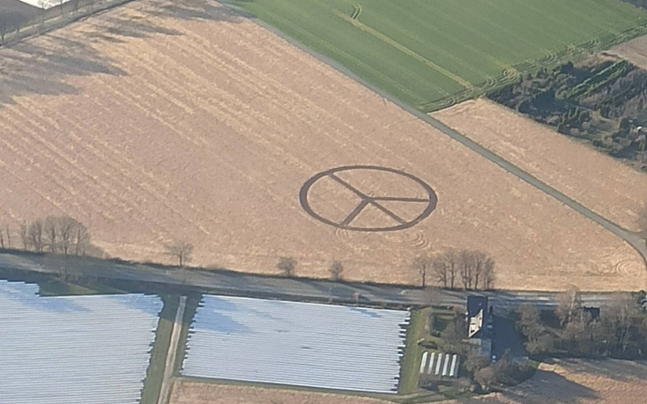 Das Friedenszeichen in einem Kornfeld bei