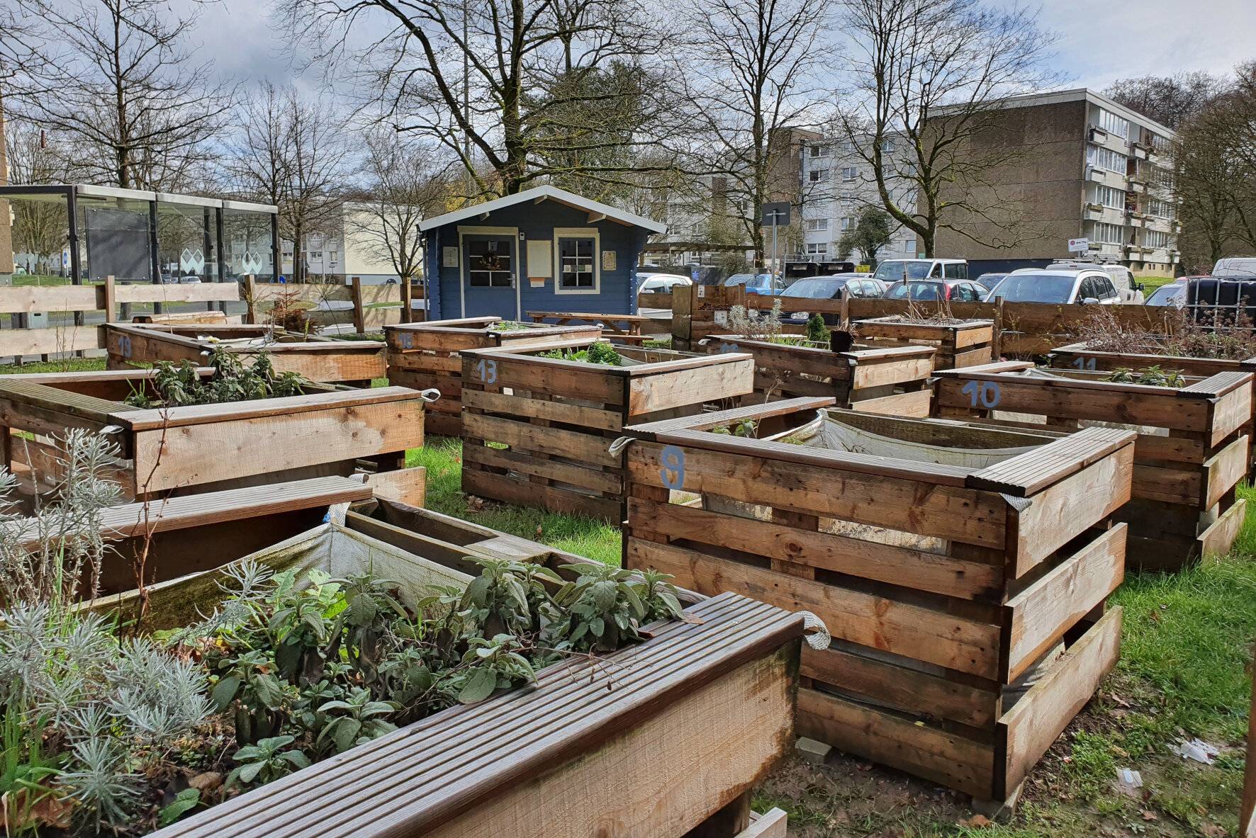 Sandheide: Hochbeetsaison im Heimatgarten startet