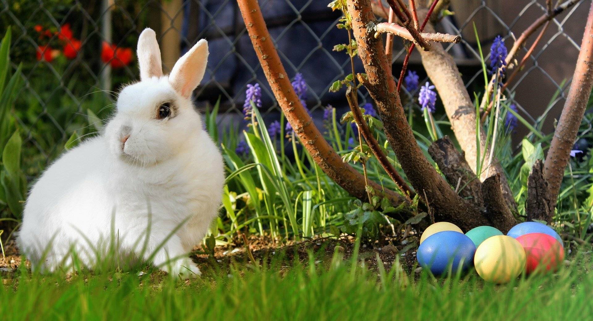 Kinder-Ostereiersuche im Haus Unterbach