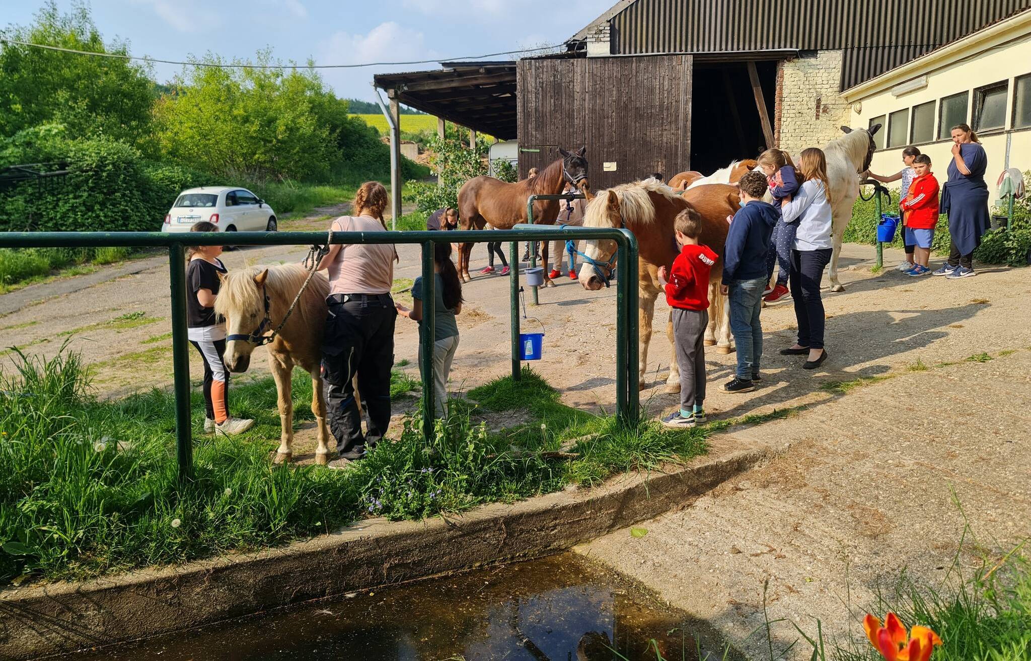  Ausflug des Kinder- und Jugendzentrums TSV Hochdahl nach Gut Rodeberg. 