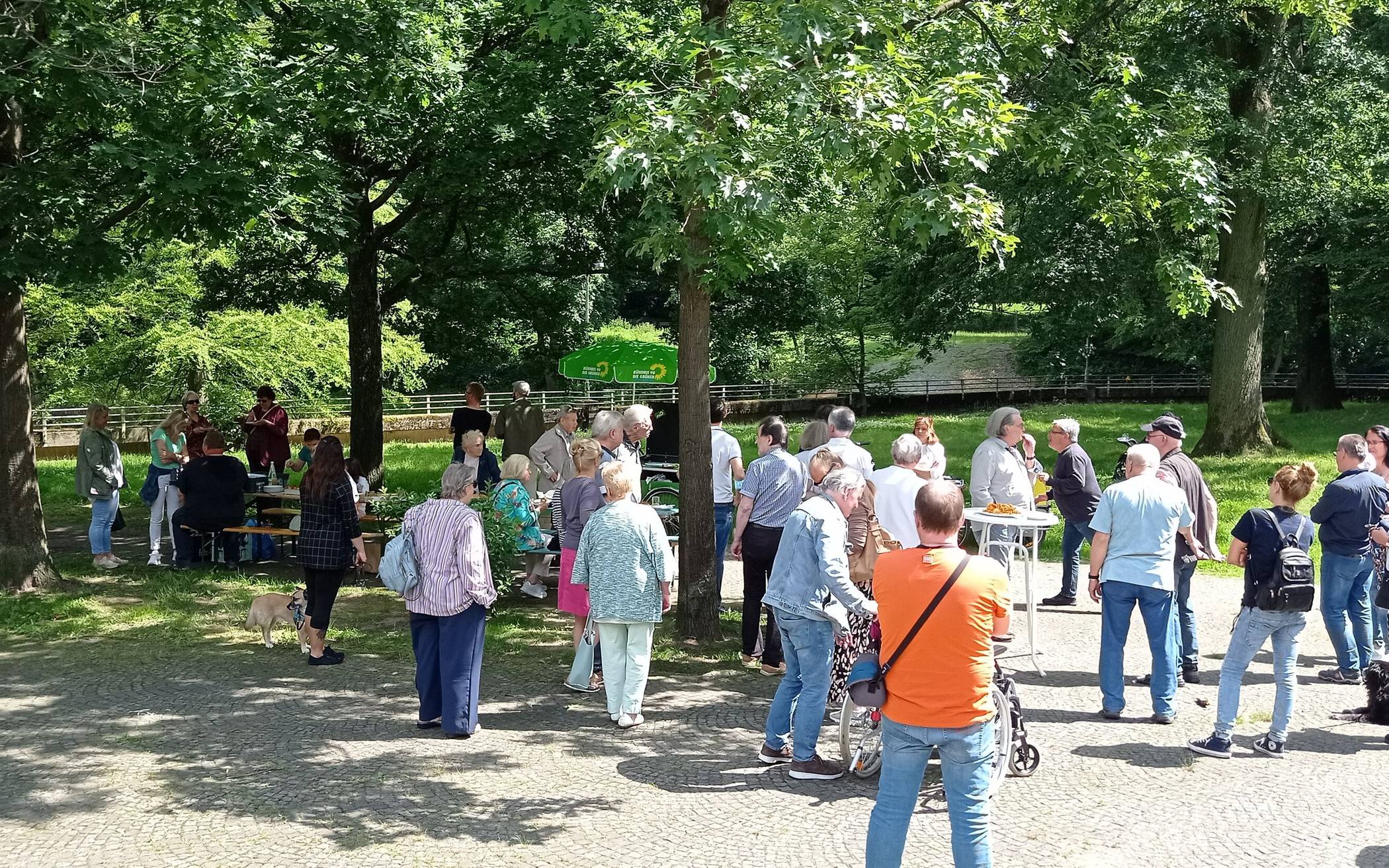 Erkrather Grüne informieren zum Erhalt des Stadtweihers: Ein wichtiges Naherholungsgebiet in Hochdahl