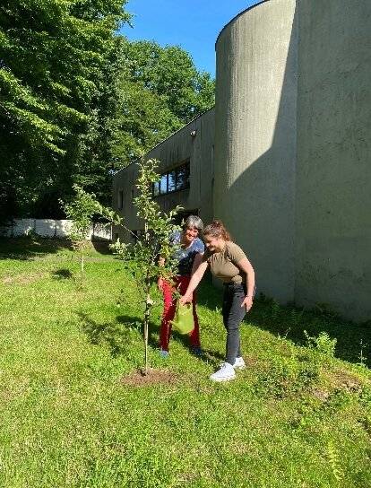  Merita Zabeli (re.) und Heidi Bauer beim Pflanzen des neuen Bäumchens an der Heilig-Geist-Kirche. 