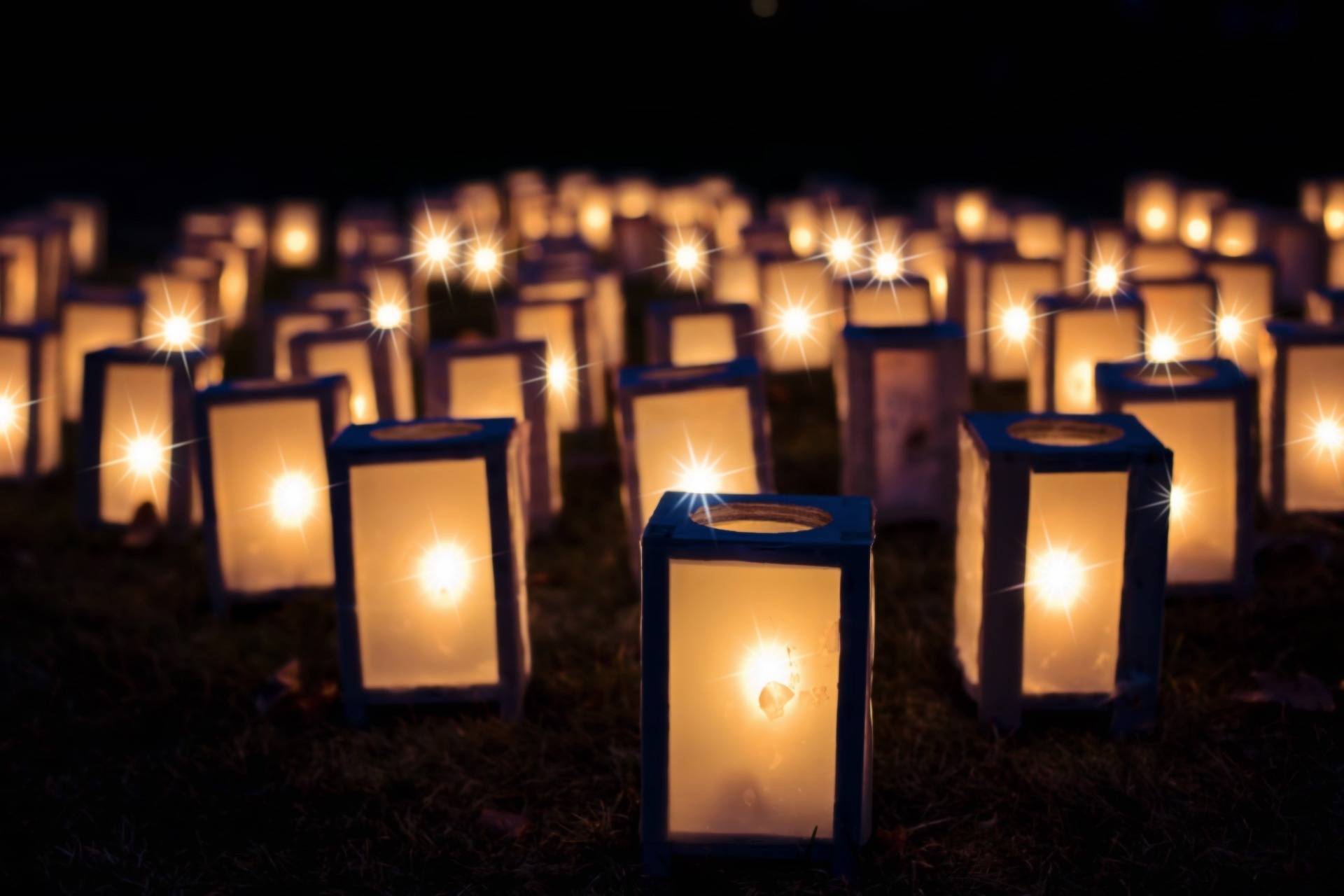 Weg entlang des Mahnerter Bachs wird erleuchtet: Lichterwald in der Sandheide