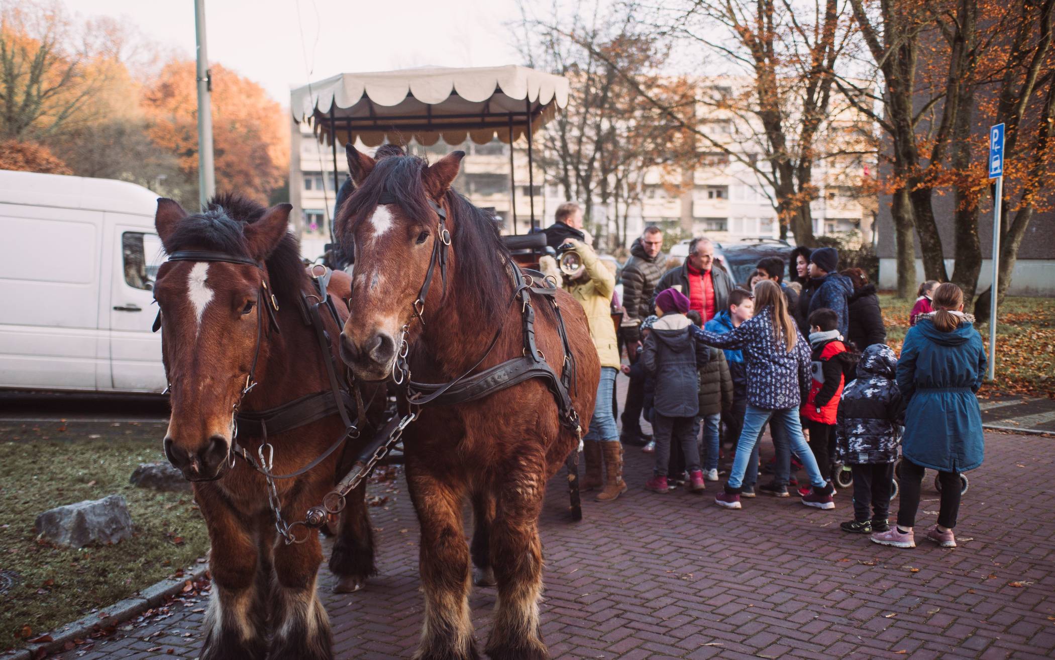 Buntes Programm beim Weihnachtsmarkt in der Sandheide