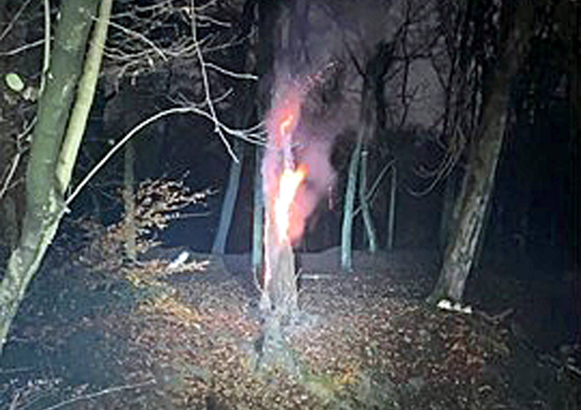 Baumstumpf in Brand gesetzt