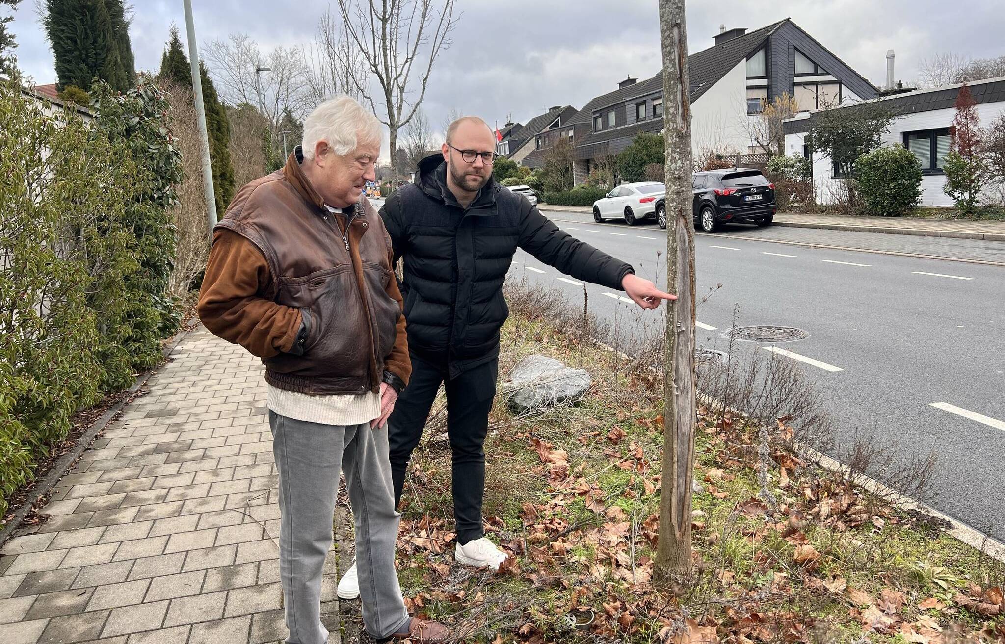  Helmut Vorholt (li.) zusammen mit Patrick Schreier - beide vom Bürgervotum Max-Planck-Straße - an einem Jungbaum mit einem so genannten „Sonnenbrand“. 