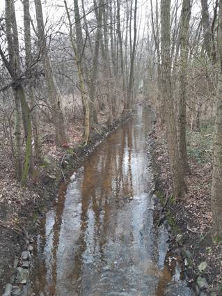 Der derzeitige Eselsbach.