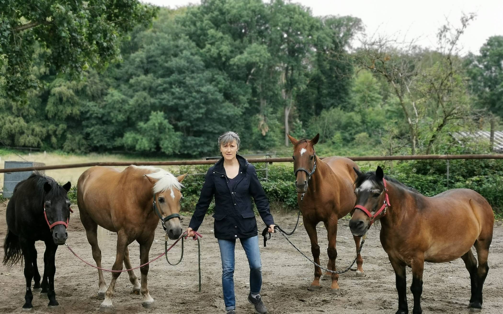 Wohin mit Blacky, Piet, Hanni, Monty