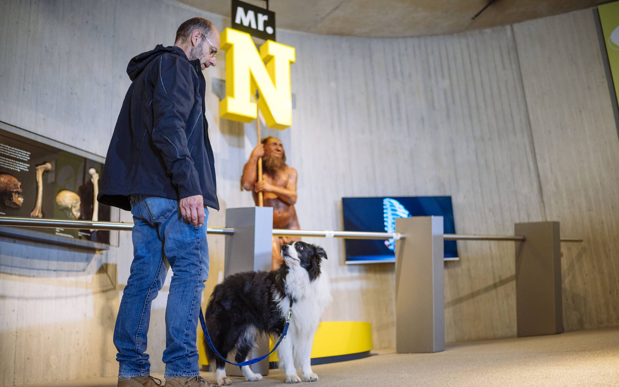 Mit dem Hund durch die Dauerausstellung