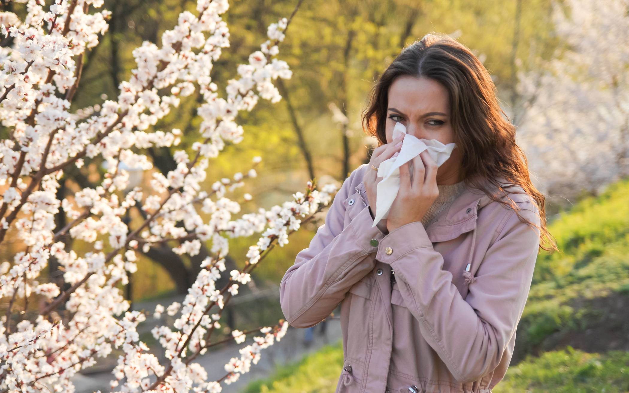 Immer mehr Allergiker leiden ganzjährig