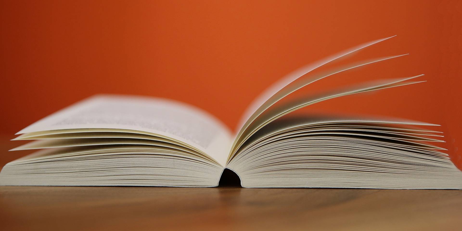 Der Förderverein der Stadtbücherei lädt zur dritten Krimi-Lesung ein: Stadtbücherei: Ein letztes Mal Nervenkitzel im Lesecafé