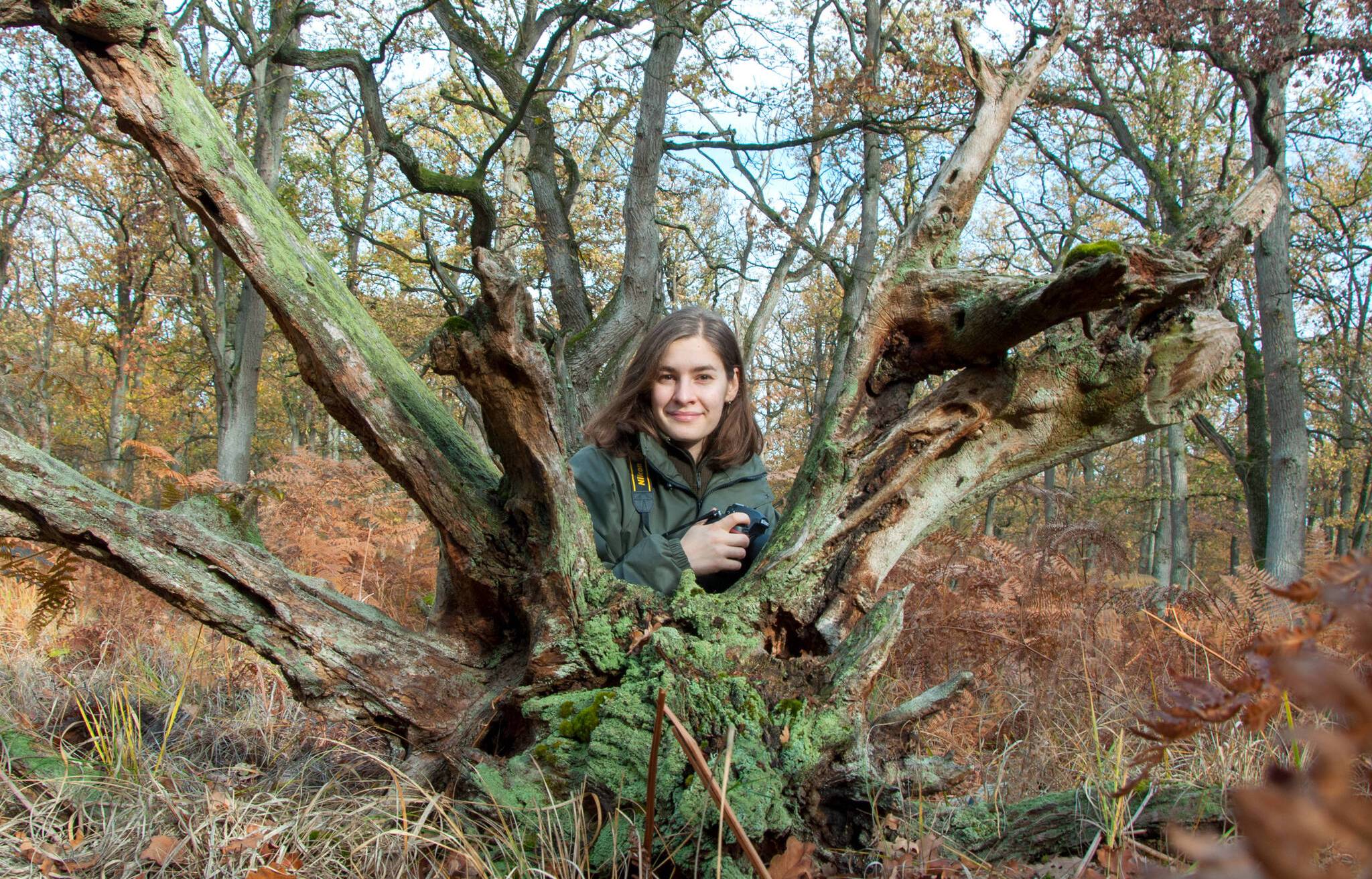 Makrofotografie in der Natur