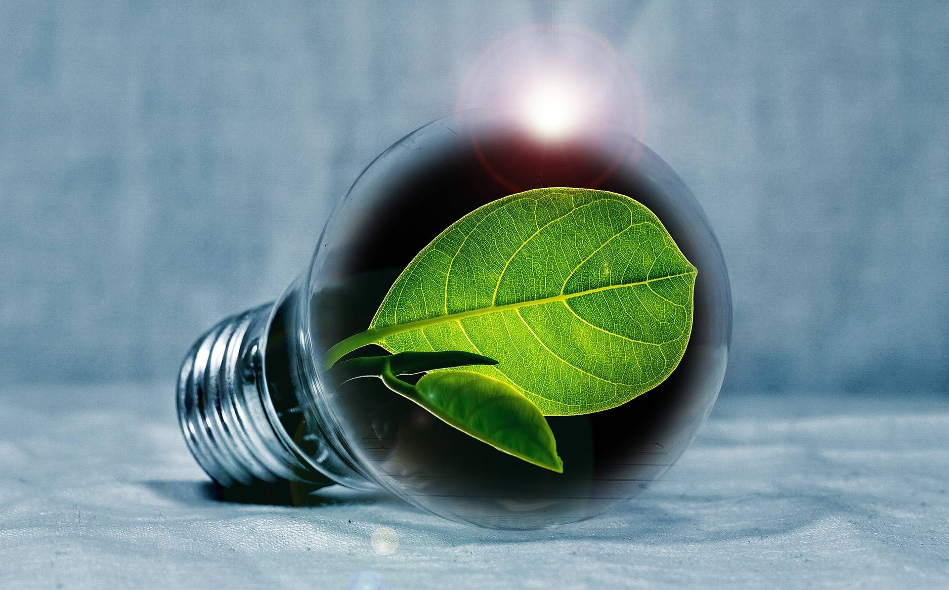 Beratung zu Solarenergie, Photovoltaik sowie weitere Energiethemen: Kostenlose Energieberatung im August