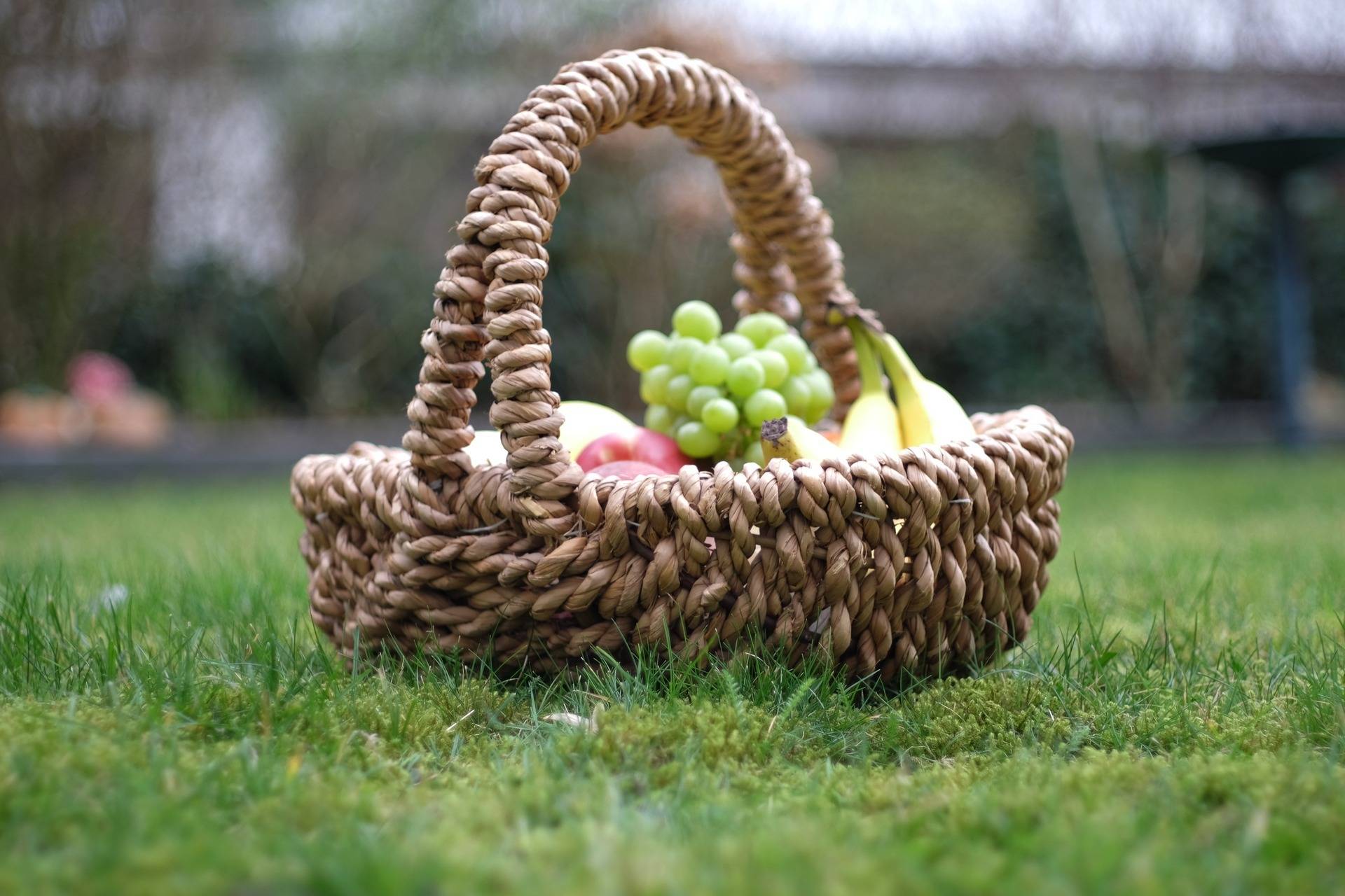 Picknick im Park