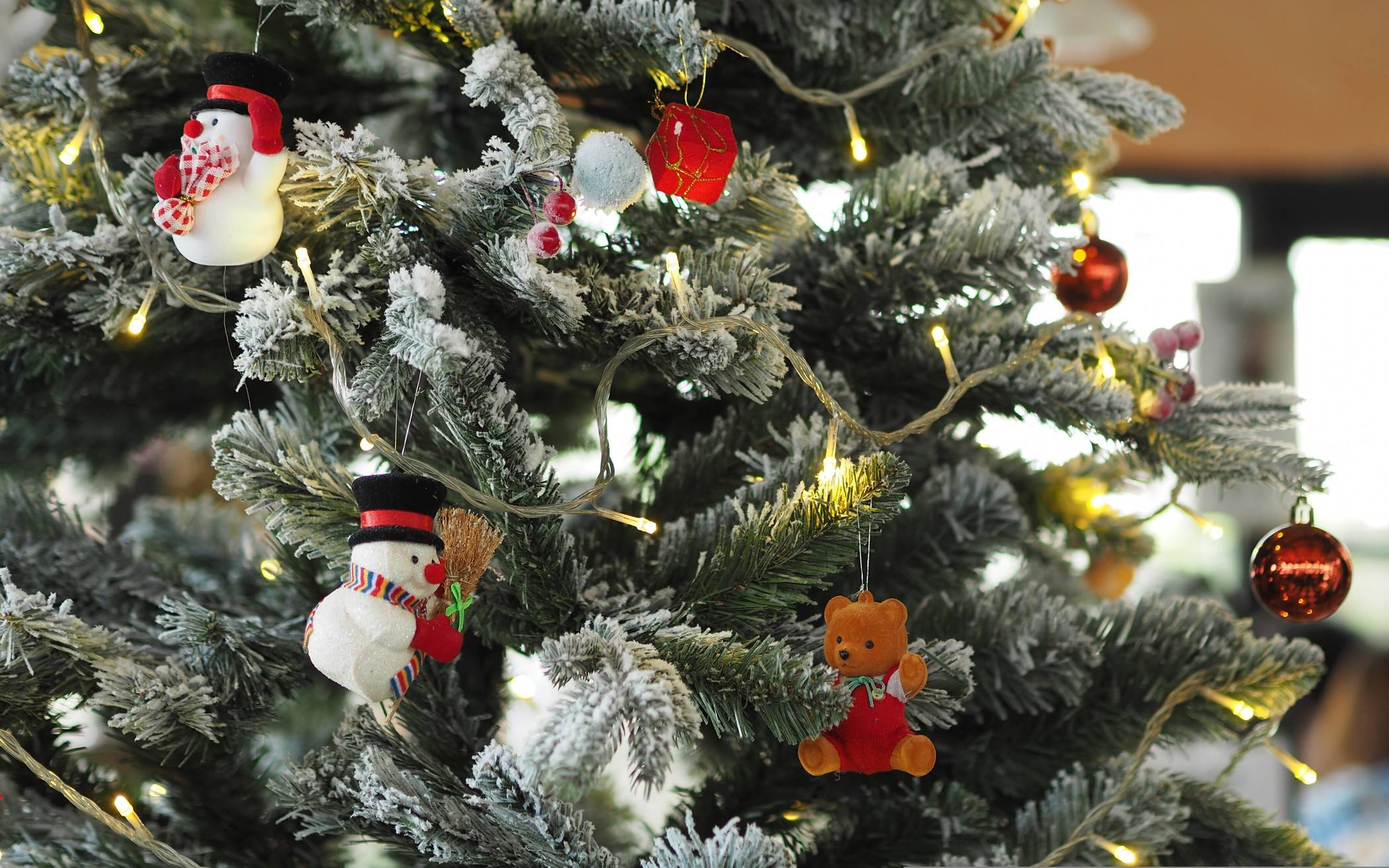 Es weihnachtet in der Sandheide