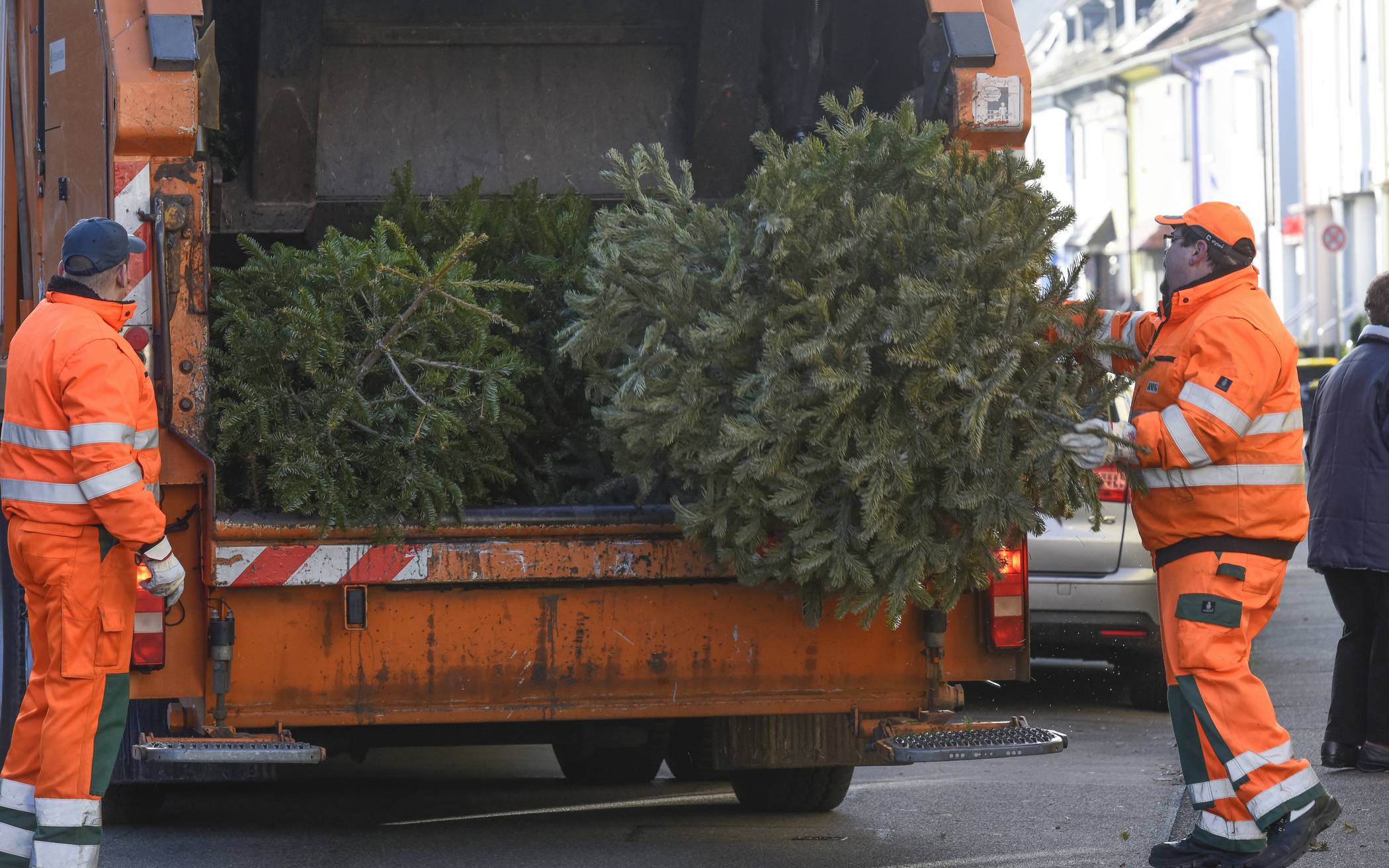 Weihnachtsbaumabfuhr in Erkrath