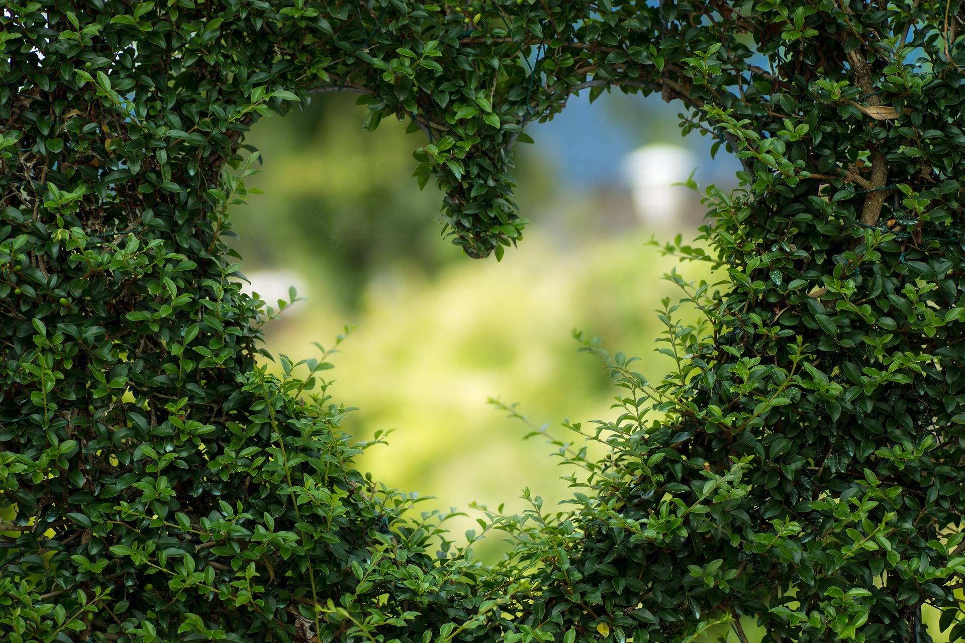 Tage der „Offenen Gartenpforte“