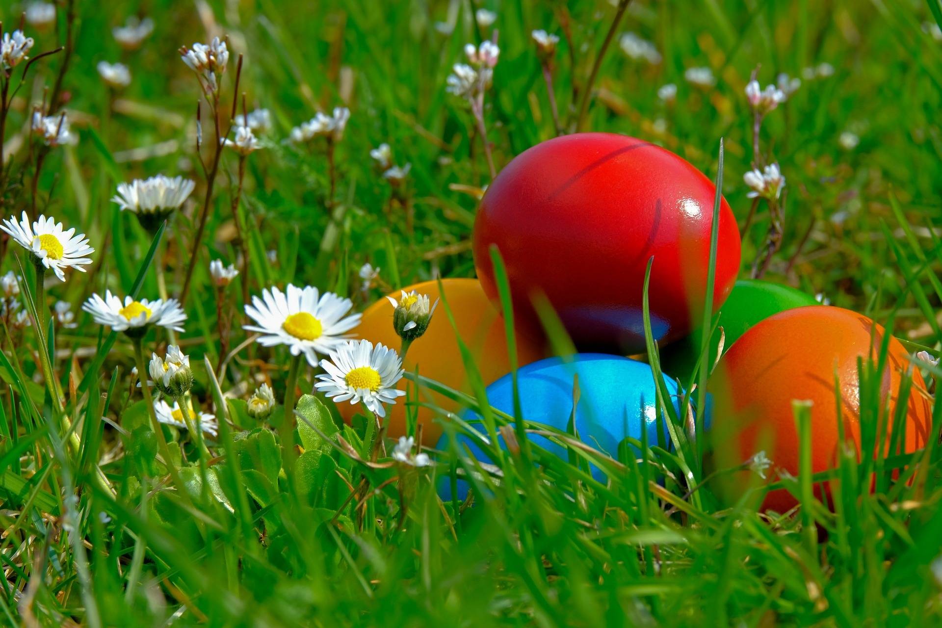 Osterüberraschung: Mal- und Bastelwettbewerb für Kinder