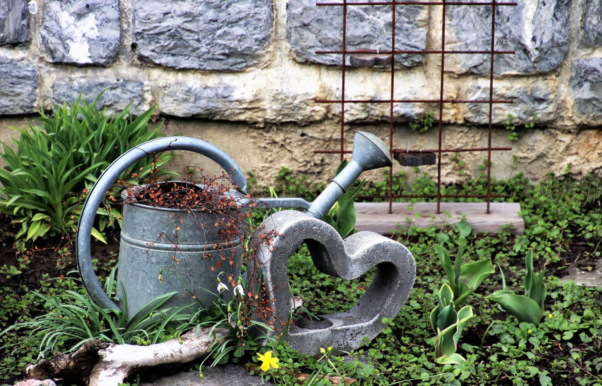 Tage der „Offenen Gartenpforte“: Private Gartenbesitzer öffnen ihre Gärten für Besucher