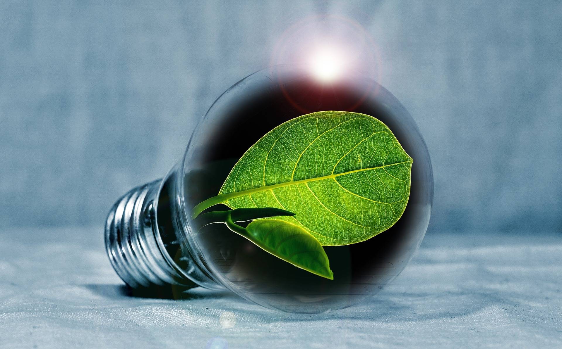 Chance für Betriebe: Umwelt entlasten und Geld sparen: ÖKOPROFIT: Workshop zeigt, wie Betriebe Energie sparen