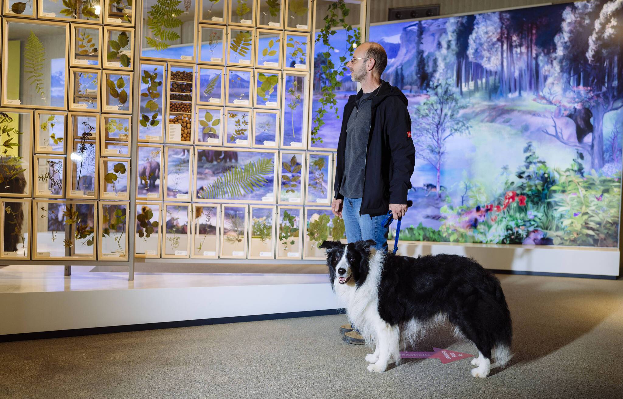 DoggyTour im Neanderthal Museum