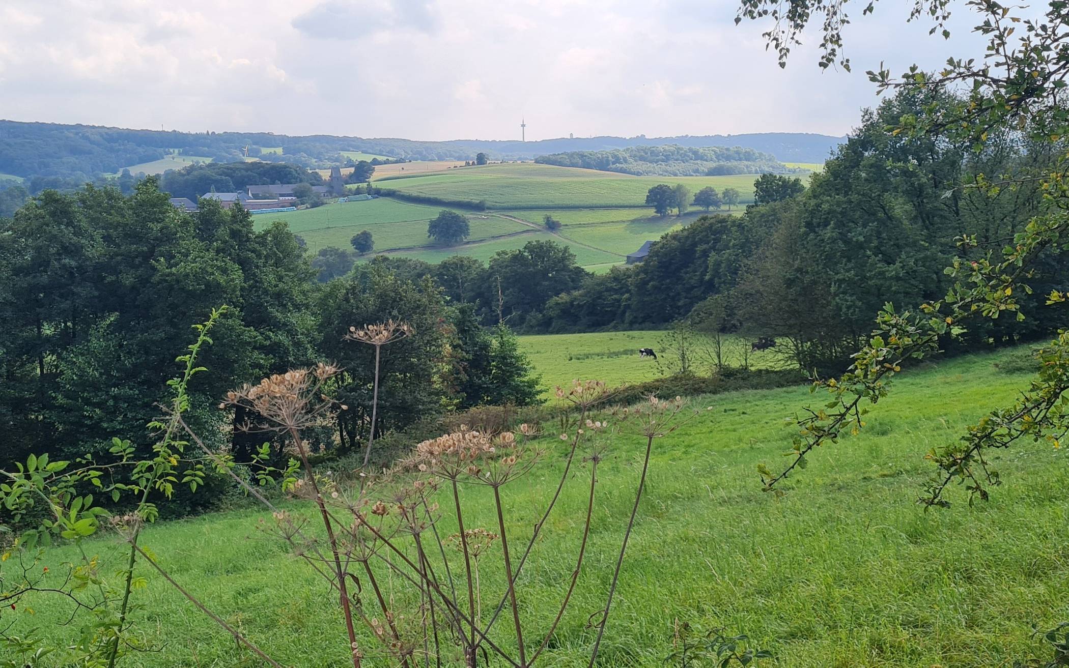 Untere Naturschutzbehörde lädt zu geführter Tour ein