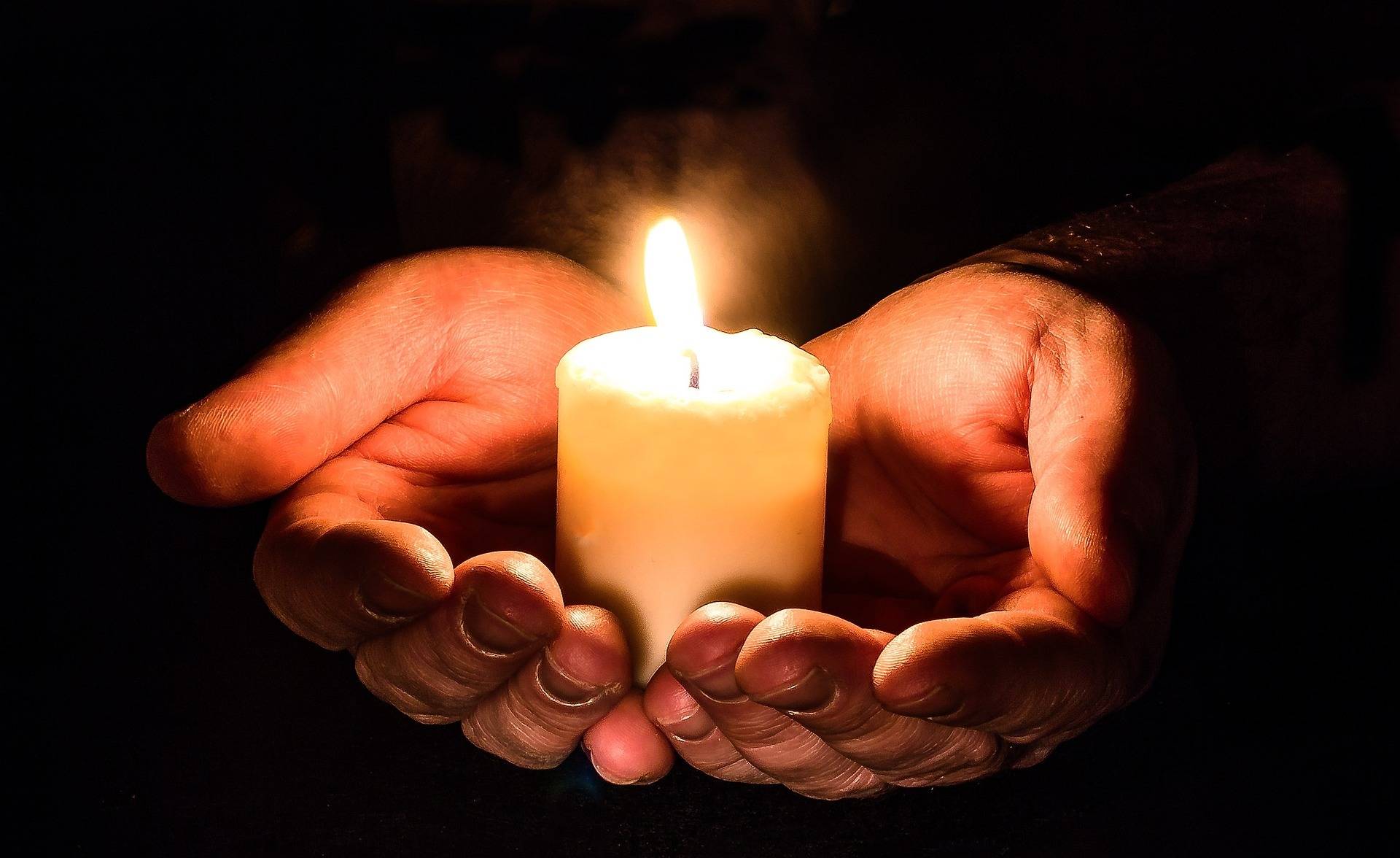 Lichterwald am Mahnerter Bach – helfende Hände gesucht