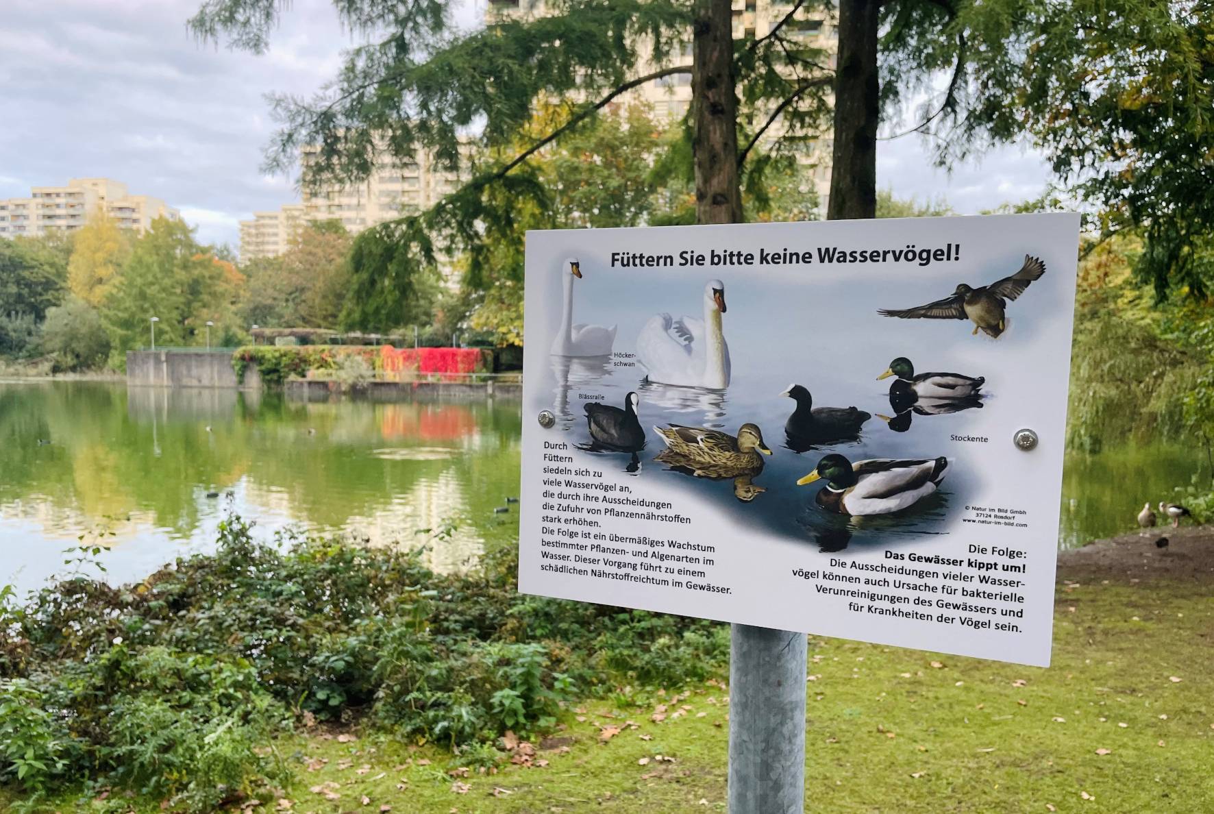 Am Stadtweiher in Hochdahl weisen neue Hinweisschilder auf das bestehende Fütterungsverbot hin.