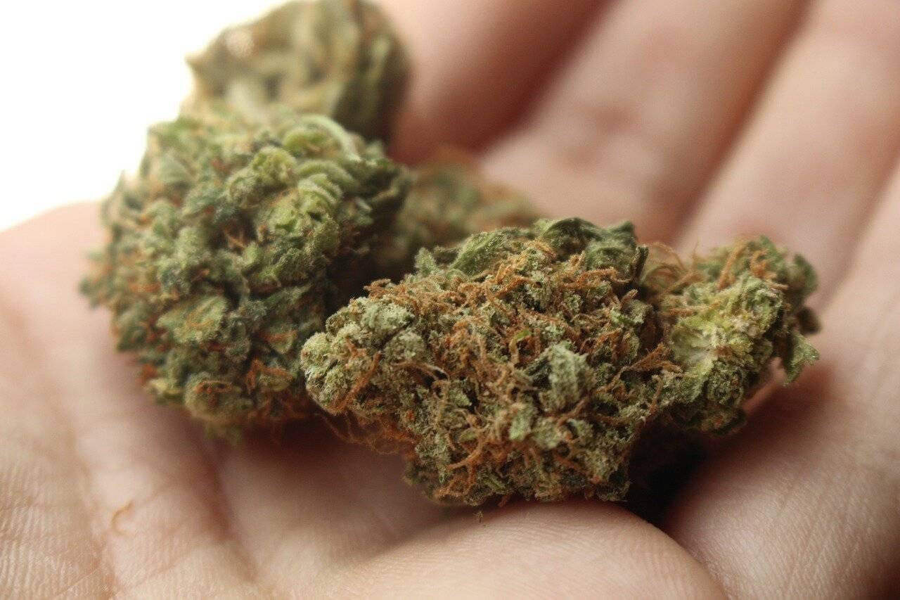 Legalisierung von Cannabis – Aspekte des Jugend- und Gesundheitsschutzes im Strafverfahren