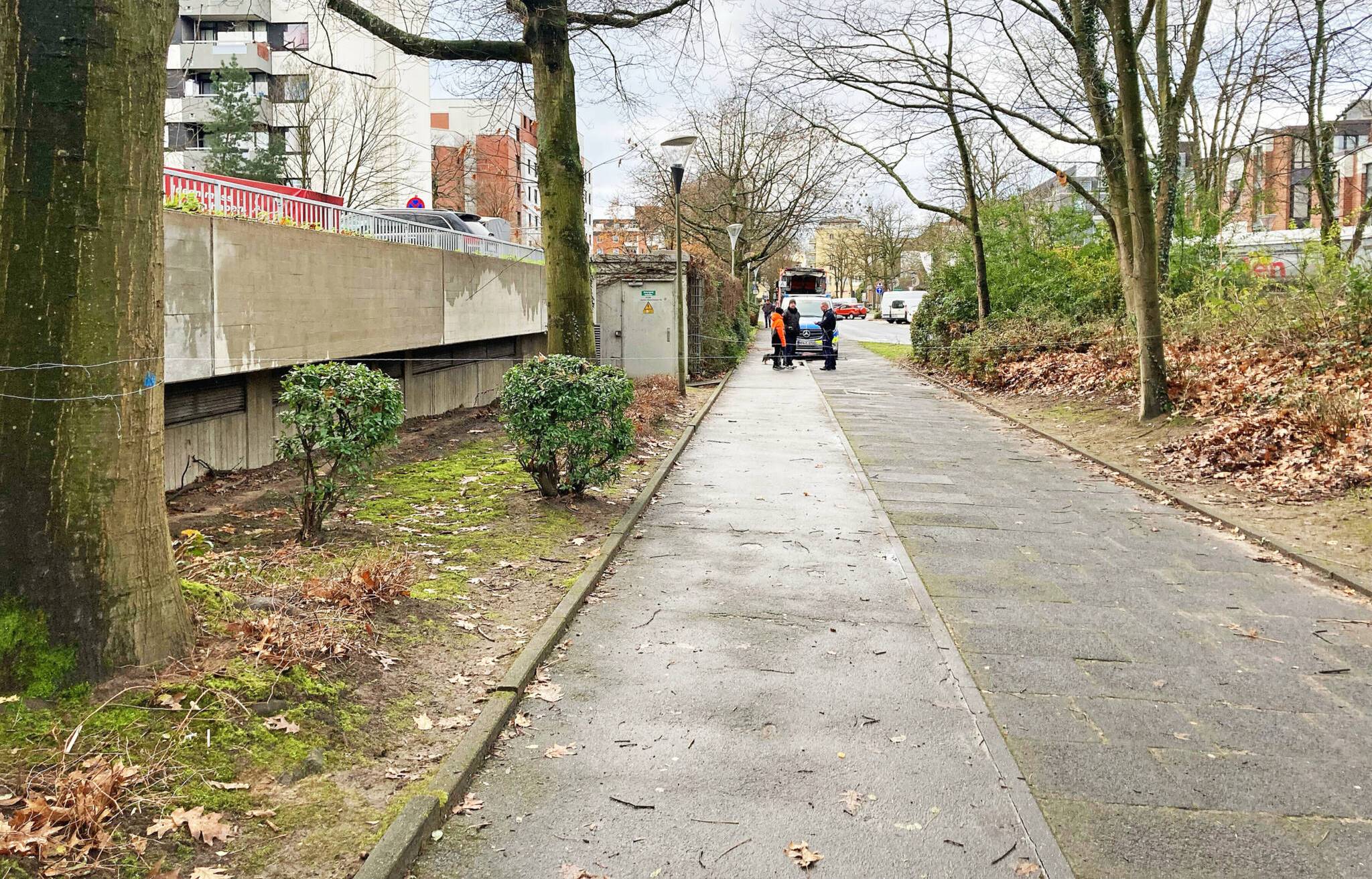 Über dem Geh- und Radweg hatten