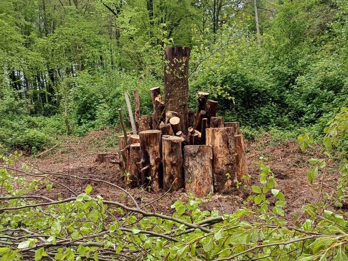 Die Natur mit Muskelkraft unterstützt
