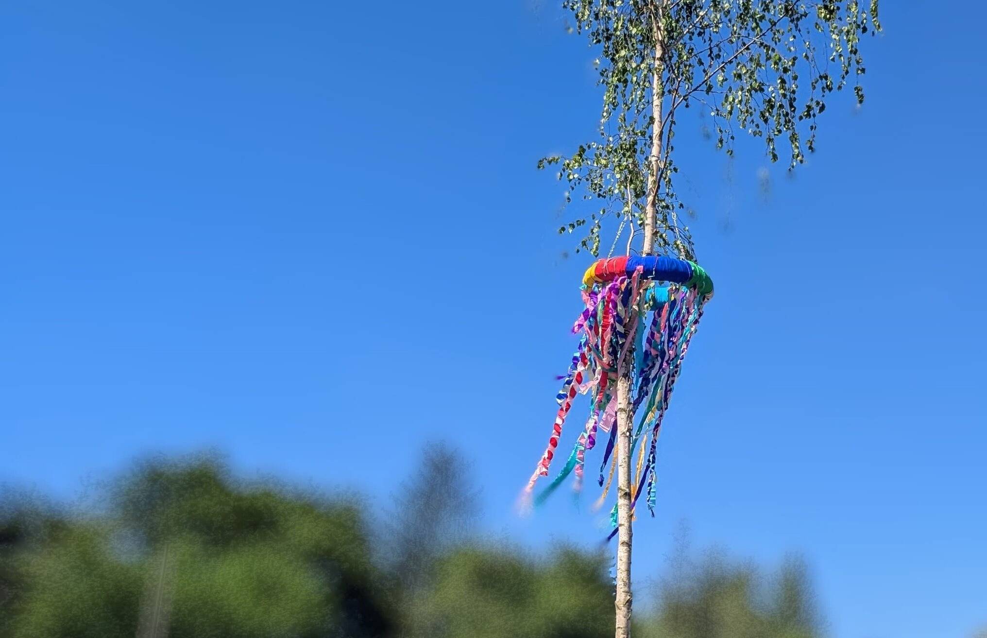 Unsere Bildergalerie zum bunten Treiben
