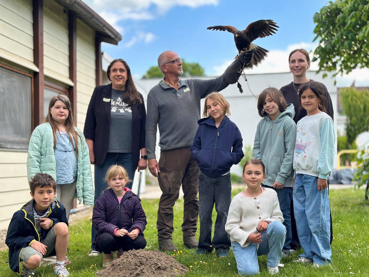 Luke - Wüstenbussard und ein echter Kinderfreund